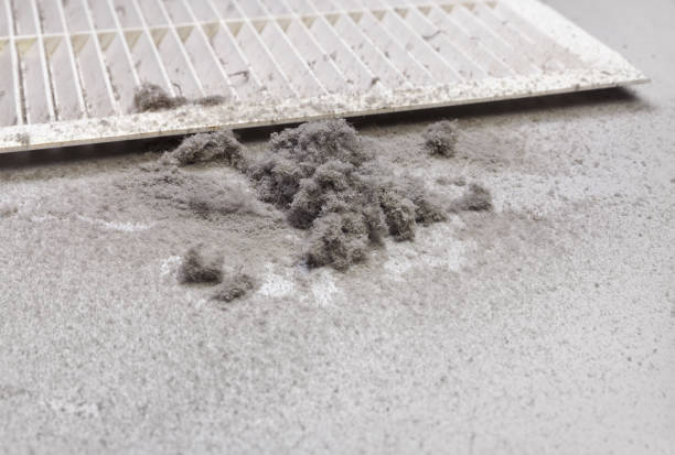 Best Commercial Air Duct Cleaning  in Luna Pier, MI