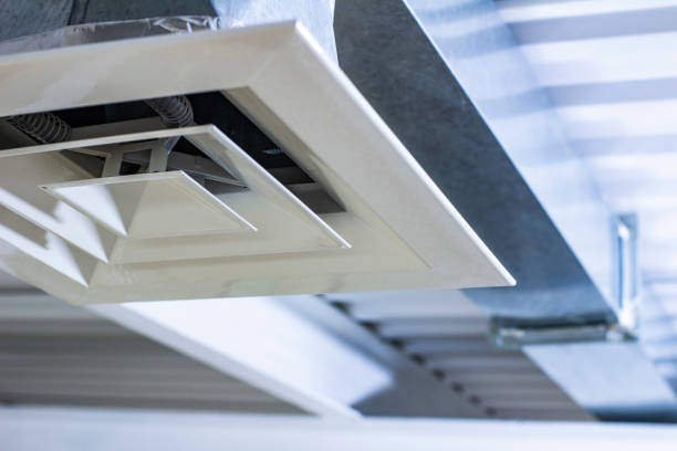 Best Air Duct Mold Removal  in Luna Pier, MI